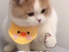 -江苏理工学院-北苑食堂