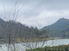-桃花岭景区
