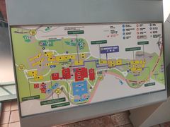 -香港大学
