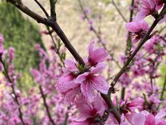 -龙洞风景区-藏龙涧