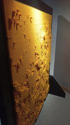 -幻贝家儿童乐园(哈尔滨王府井店)