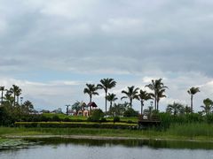 -月亮湾湿地公园
