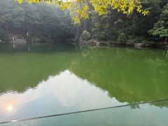 -缙云山景区