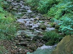 -素山寺森林公园