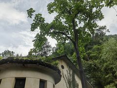 -黔灵山公园