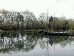 -溱湖国家湿地公园