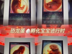 -侏罗纪世界电影特展(广州站)
