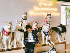 -Husky Go! 哈士奇体验馆·宠物咖啡厅狗咖