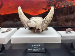 -河姆渡遗址博物馆