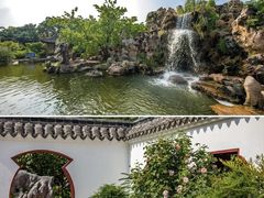 -高东镇樱花园