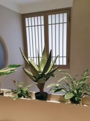 -悦润荟美容抗衰中心