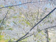 -玛格萝妮比萨屋(四平店)