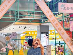-天虹购物中心(石路店)