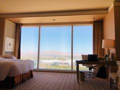 -拉斯维加斯永利酒店