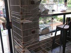 -ZM COFFEE(西安路店)