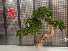 -红菜坊·烤鸭·川鲁宴(石园店)