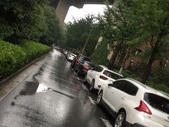 -徐浦交警停车场