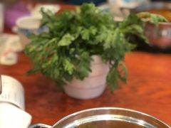 -龙聚德北京烤鸭(沙坪坝华宇A馆店)