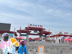 -曹州牡丹园