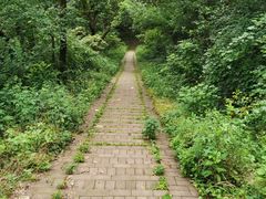-青龙山国家森林公园