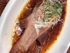 东星斑-金源山海一味(万科早城店)