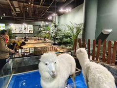 -上海大自然野生昆虫馆(东方明珠·爬宠昆虫探索中心)