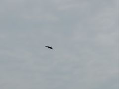 -西涌国际滨海旅游区