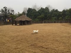 -乌村