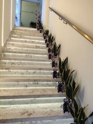 -海涛医疗美容·面部抗衰·注射美鼻