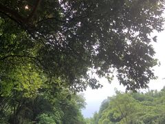-英西峰林·洞天仙境