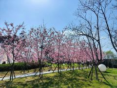 -福建鲤鱼洲酒店