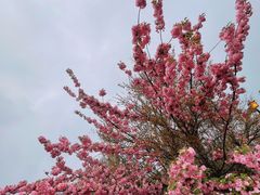 -南京城墙景区