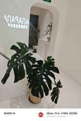-安那般那皮肤年轻化ANAPANA