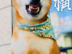 -NOTBAD 须时·咖啡馆
