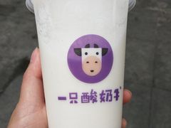 -一只酸奶牛(八一路店)