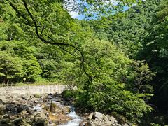 -西岭雪山大飞水景区