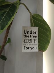 -颜蕾医美·黄金微针·水光·玻尿酸·超声炮·抗衰中心