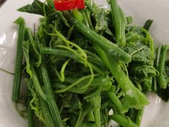 爽口丝瓜尖-烤肉季饭庄