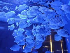 -上和臻品中国菜(花园街店)