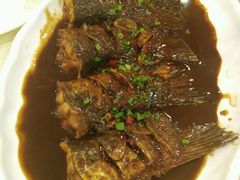 -大方圆酒楼(西门大街店)
