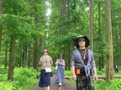 -黄海国家森林公园