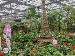 -南宫五洲植物乐园