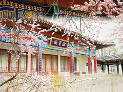-桃花堤公园