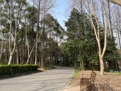 -上海滨江森林公园