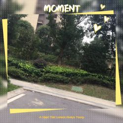 -蚂蚁造型沙龙