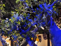 -绿茶餐厅(燕郊永旺店)