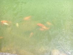 -永泰中国云顶