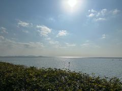 -贡湖湾湿地公园