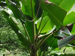 -水濂山森林公园