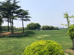 -银涛高尔夫练习场(徐泾店)